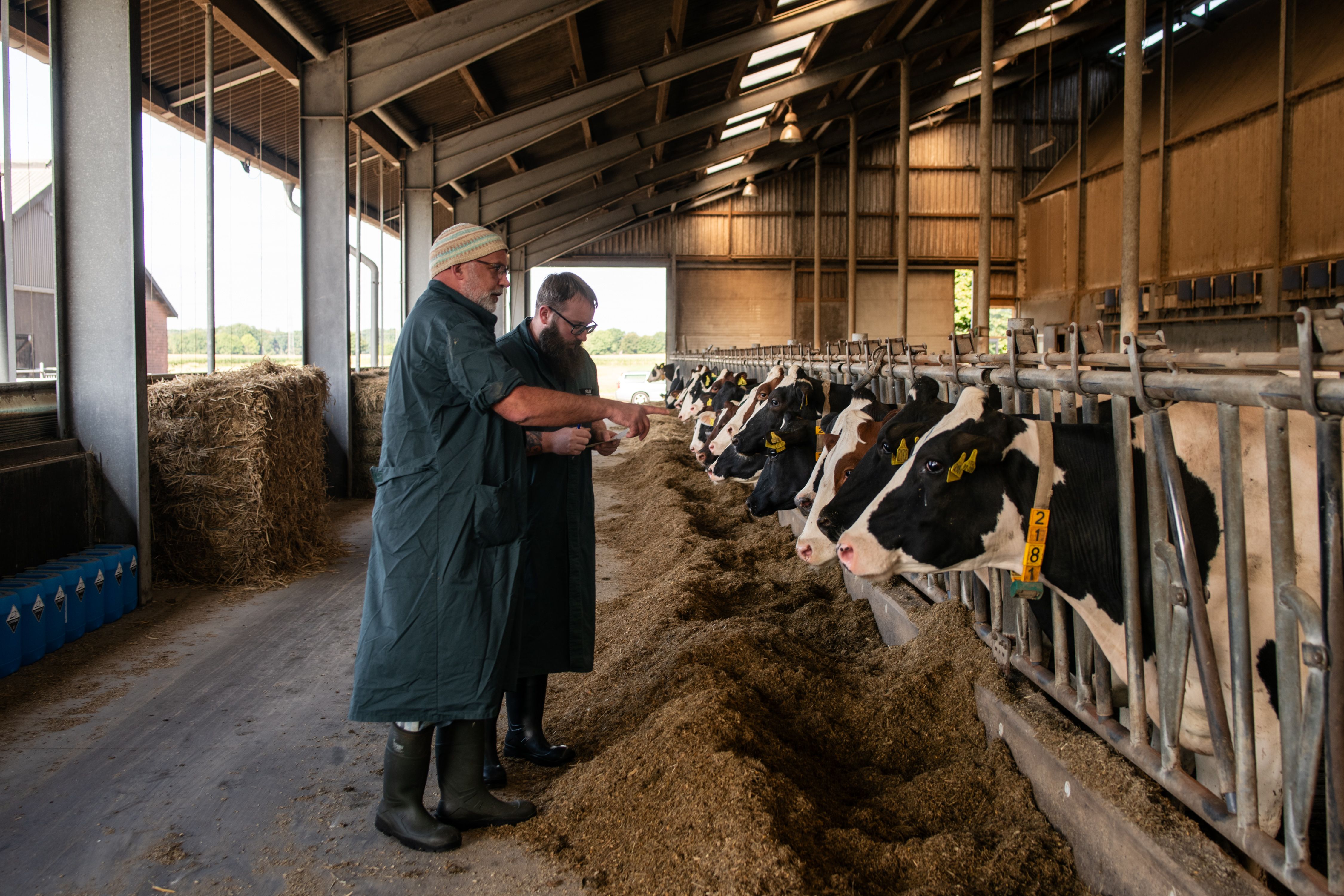 Zwei Menschen stehen in einem Offenstahl vor Kühen und sprechen miteinander. Sie haben Arbeitskleidung und Gummistiefel an